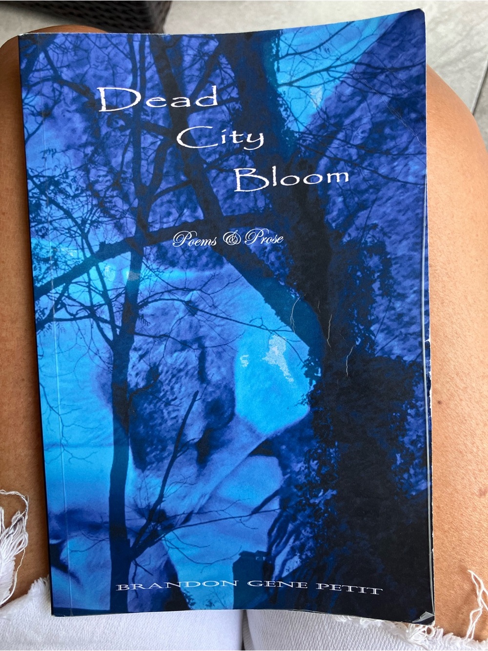 Dead City Bloom - Blue Cover Poetry Book